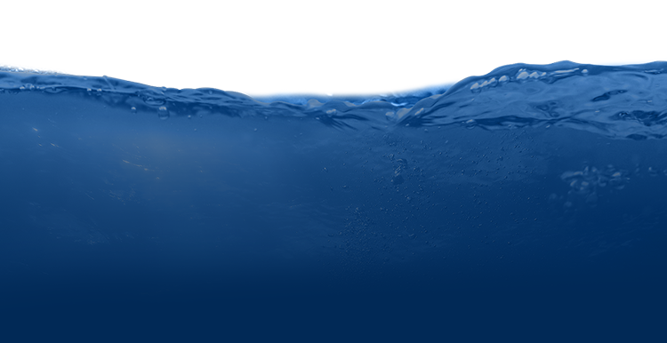 抖圈·(中国)人生就是搏!