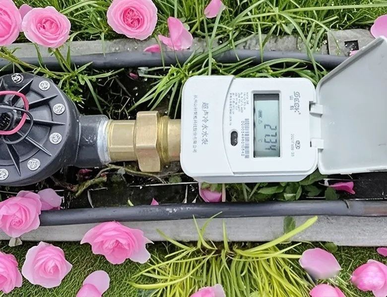 杭州“顶流”惊艳天下，，，，，，，，抖圈·(中国)人生就是搏!怎样守护都会“空中花廊”